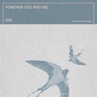 The Teskey Brothers - Forever You And Me (CDS)