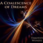 Timothy Wenzel - A Coalescence Of Dreams