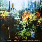Jarguna - Amongst Jungles (With Nicola Serena)