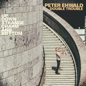 Up, Down, Strange, Charm And Bottom