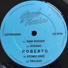 Roberto - Junk Rudder (Vinyl)