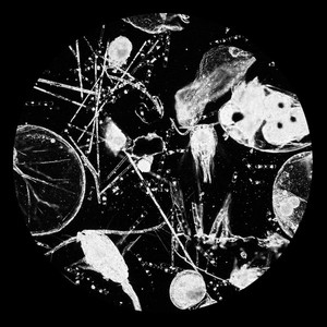 Plankton (EP)
