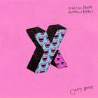 Caity Baser - X&Y (Digital Farm Animals Remix) (CDS)