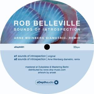 Sounds Of Introspection (EP) (Vinyl)