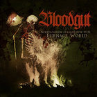 Bloodgut - Nekrologikum Evangelikum (Pt. 2): Furnace World