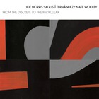 Joe Morris - From The Discrete To The Particular (With Agusti Fernandez & Nate Wooley)
