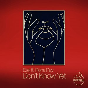 Don't Know Yet (Feat. Rona Ray) (CDS)