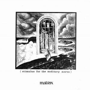 Matrix (Vinyl)
