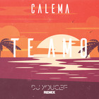 Calema - Te Amo (DJ Youcef Remix) (CDS)