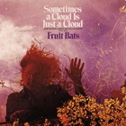 Fruit Bats - Sometimes A Cloud Is Just A Cloud: Slow Growers, Sleeper Hits And Lost Songs (2001-2021)