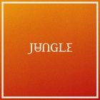 Jungle - Candle Flame (Feat. Erick The Architect) (CDS)
