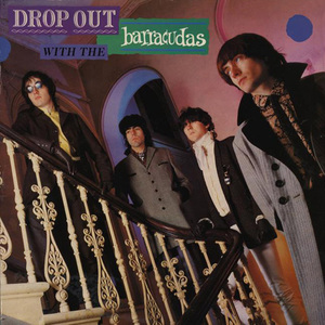 Drop Out With The Barracudas (Reissued 2005)