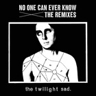 The Twilight Sad - No One Can Ever Know: The Remixes
