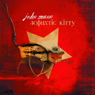 John Mann - Acoustic Kitty