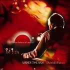 David Paton - Under The Sun