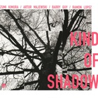Kind Of Shadow (With Artur Majewski, Barry Guy & Ramon Lopez)