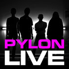 Pylon (US) - Live