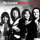 Ted Mulry Gang - The Essential Ted Mulry & Tmg