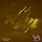 Thundercat - Final Fight (CDS)