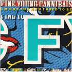 Fine Young Cannibals - I'm Not The Man I Used To Be (MCD)