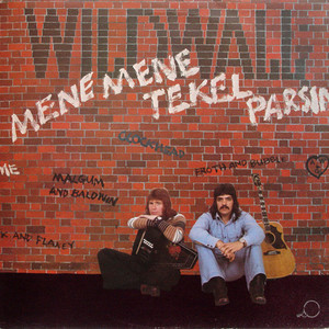 Wildwall (Vinyl)
