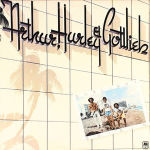 Sunlight Shinin' (Vinyl)