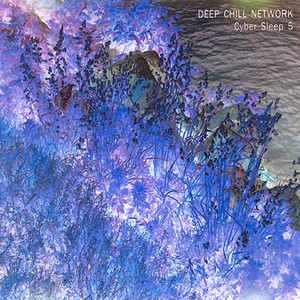 Cyber Sleep 5