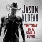 Jason Aldean - Try That In A Small Town (CDS)
