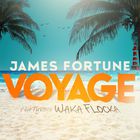 James Fortune - Voyage (CDS)