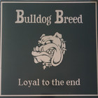 Bulldog Breed - Loyal To The End