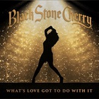 Black Stone Cherry - What's Love Got To Do With It (CDS)
