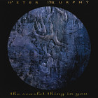 Peter Murphy - The Scarlet Thing In You (EP)