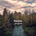 Jarguna - Reeds