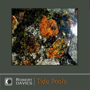 Tide Pools