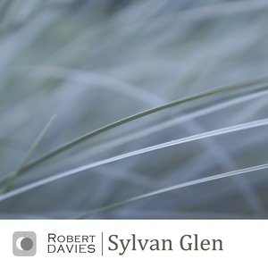 Sylvan Glen