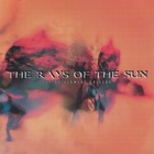 The Rays Of The Sun - Living Flowers Gallery