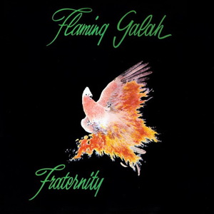 Flaming Galah (Vinyl)