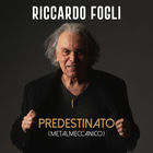 Riccardo Fogli - Predestinato (Metalmeccanico)