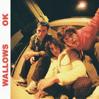 Wallows - Ok (CDS)