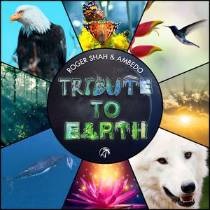Tribute To Earth (With Ambedo)