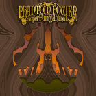 Super Furry Animals - Phantom Power (Remastered 2023)
