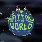Burna Boy - Sittin' On Top Of The World (CDS)