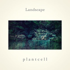Plant Cell - Landscape
