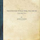 Joshua Radin - Though The World Will Tell Me So Vol. 2