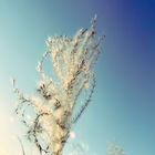 Gallery Six - Fresh Air