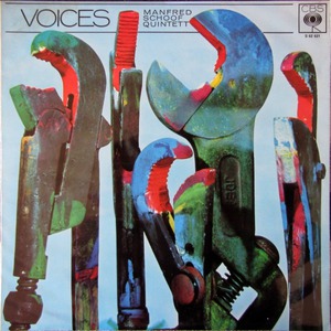 Voices (Vinyl)