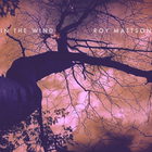 Roy Mattson - In The Wind