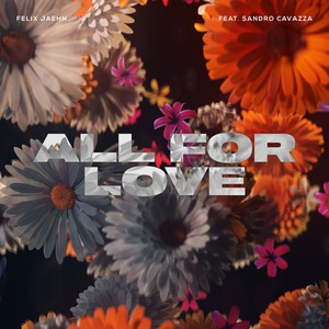 All For Love (CDS)