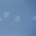 Celer - Coral Sea (CDS)