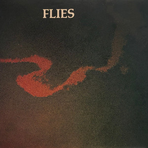 The Flies (EP) (Vinyl)